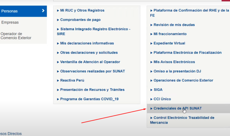 ¿cómo Generar Credenciales Api Rest Sunat Para Guía De Remisión